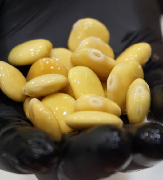 Lupini (3,00 euro al chilo)