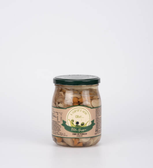 Tris di Funghi da 520gr all'Olio di Girasole
